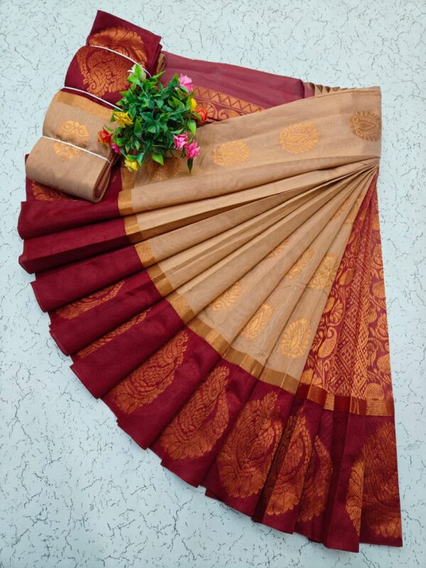 Kotanji Border Silk Cotton Sarees 020