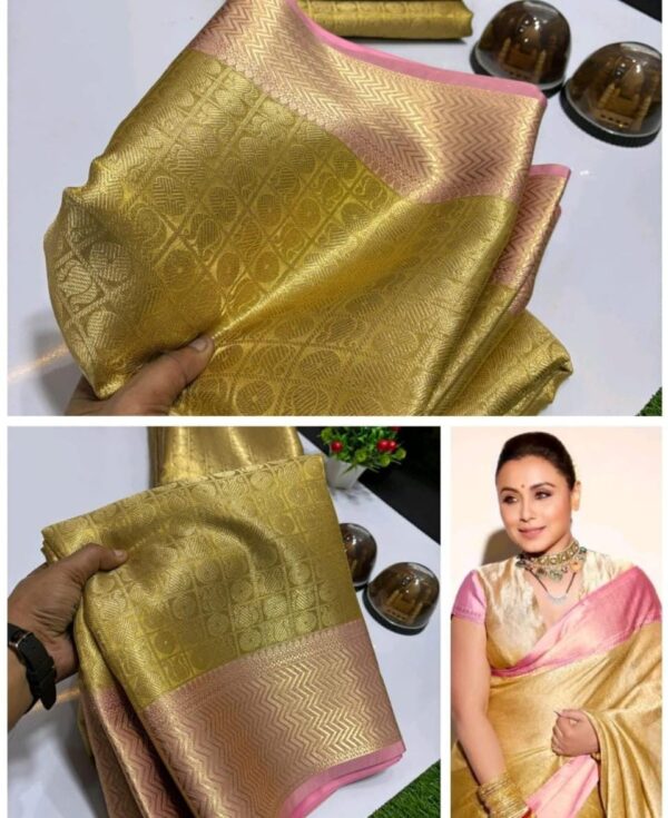 Rani Mugarji Inspired Sarees