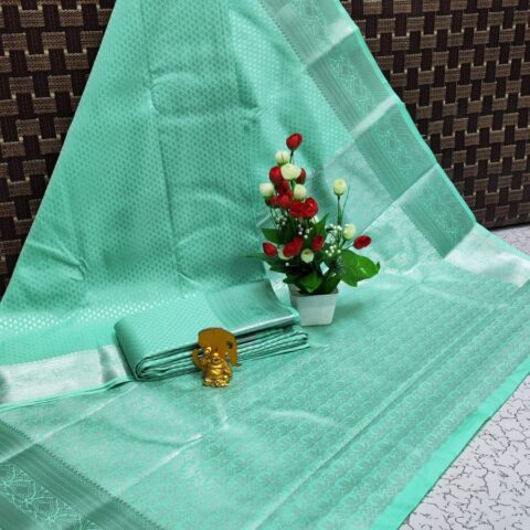 Elite Bridal Saree 080