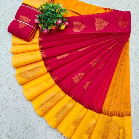 Kotanji Border Silk Cotton Sarees 014