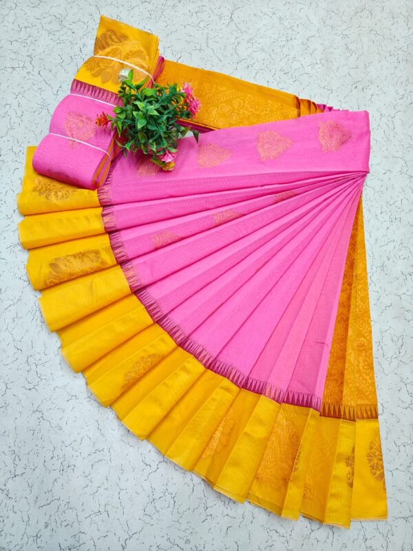 Kotanji Border Silk Cotton Sarees 043