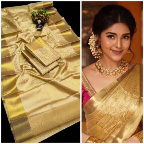 Tissue Sarees 016