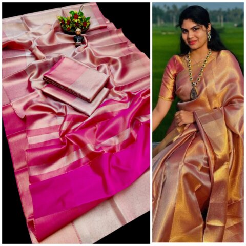 Tissue Sarees 025