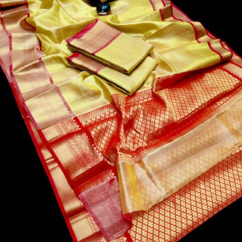 Tissue Sarees 027