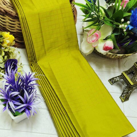 Arani Soft Silk Without Boarder 011