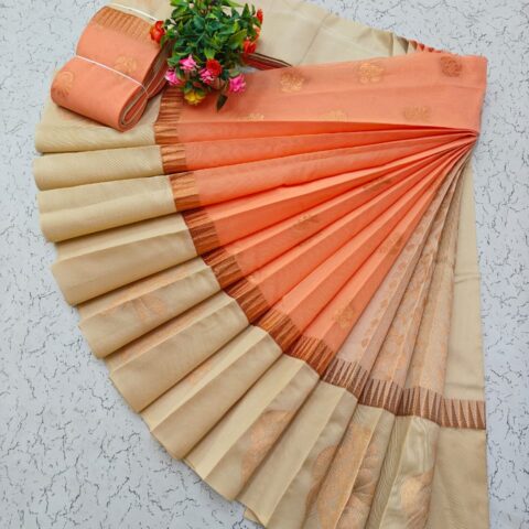 Kotanji Border Silk Cotton Sarees 039