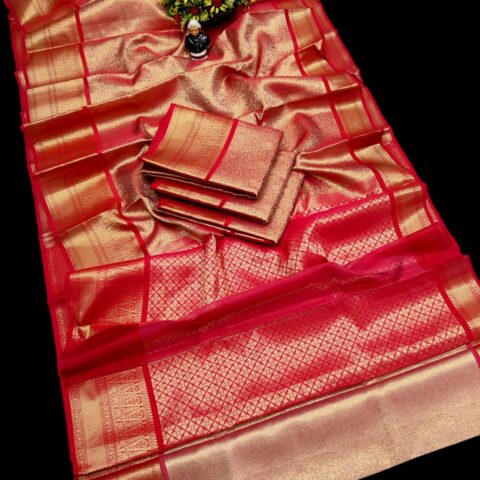 Tissue Sarees 038