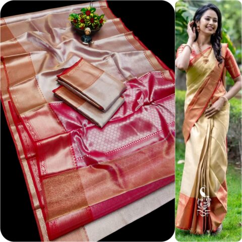 Tissue Sarees 004