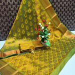 Elite Bridal Saree 031