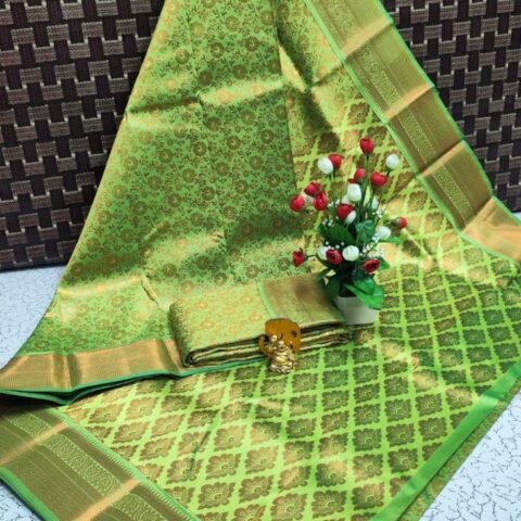 Elite Bridal Saree 044